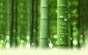 Bamboo na imagem de fundo palavra gravado Romântico tema do amor