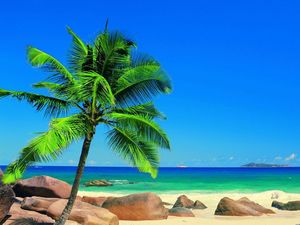 Piękny obraz kokosowy morze Widok ppt
