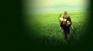 Красота в пшеничном поле красивая любовь п.п. фоне
