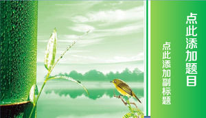 Vogel und Bambus hellgrün erfrischend ppt Widescreen-Vorlage