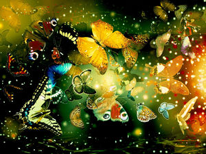 Papillons de vol images de fond ppt