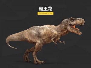 Динозавр дизайн PPT материал - читать "юрский мир" (Jurassic World) существенный материал п.п.