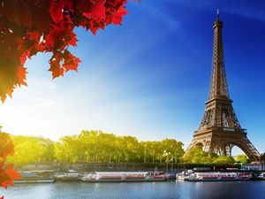 Menara Eiffel Maple Leaf Ppt Background Image