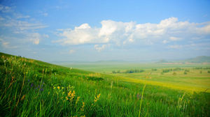 Fairy tale world-like beautiful grassland landscape pictures