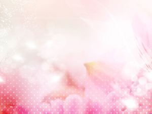 Featured a set of elegant pink ppt background picture 14 sheets