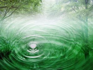 Floresta nave água em uma imagem integrada fundo