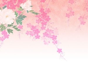 Fetele, cum ar fi flori roz imagine de fundal model de petale (4 poze)