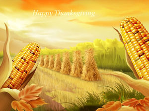 Golden Corn - Autumn harvest season ppt template