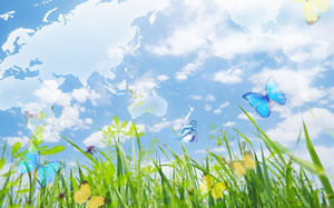 草の緑ブルーム蝶のダンス春の到来を背景画像