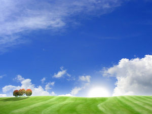 Padang rumput gambar latar belakang murni langit biru