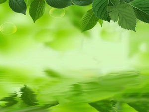 綠葉綠泉水幻燈片背景圖片