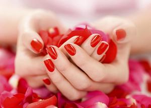 Hand holding red rose petal ppt background picture