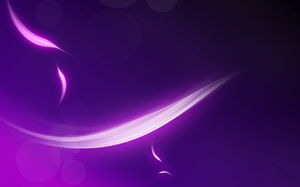 Luz imagen de fondo ppt extracto púrpura plumas como