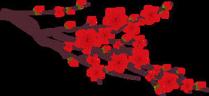 ลิเมยพีช Blossom จีนน้ำให้ความชุ่มชื้นกระดูกหักดอกไม้ฟรีวัสดุ png ภาพ
