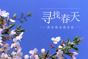 Guardando per la primavera - template ppt Breve introduzione Huazhong Agricultural University