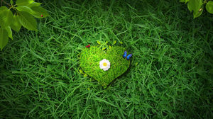 愛の草緑の背景画像