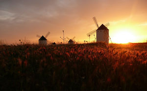 张曼玉在风车浪漫的日落背景图片