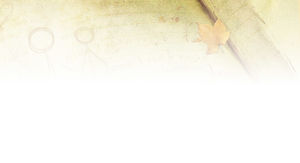 メープルリーフ懐かしノートの背景画像