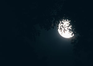 Księżyc księżyc księżyc księżyc księżyc wysokiej rozdzielczości obraz slide
