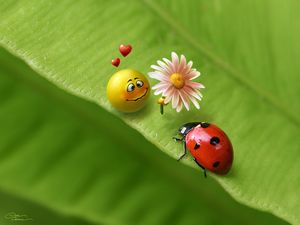 Frech nette kleine Menschen Liebe zeigen sieben Sterne Marienkäfer grünes Blatt Hintergrundbild