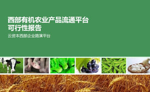 productos agrícolas orgánicos informe PPT plataforma de circulación