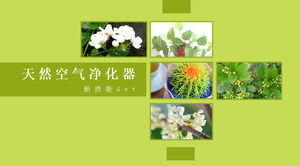Plant on the air environment changes ppt template