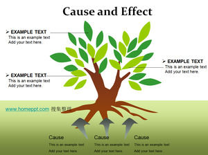 PPT descriere copac diagramă