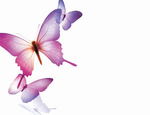 Plantilla púrpura bonito de la mariposa ppt