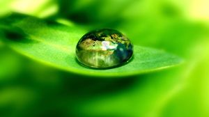 雨露珠的绿叶高清照片绿色新鲜的PPT图片