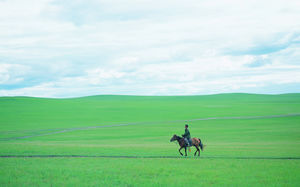 Montar una imagen pastoral de caballos de la manada