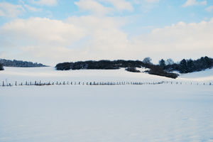 Schneewelt - Schnee-Szene Hintergrund
