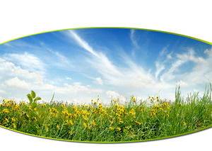 Spring field view ppt template