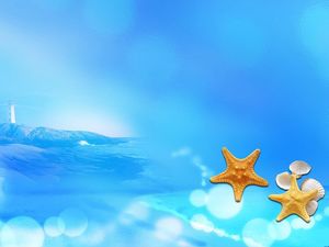 Starfish shell blue ocean background picture