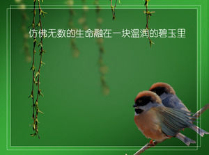 Swaying branches of the birds ppt animation effects