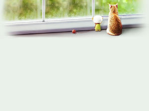Il gattino nella stanza calda si affaccia l'immagine di sfondo attraverso le finestre di vetro congelato