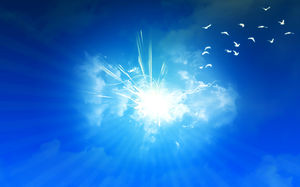 La gaviota pasa el sol a través de las nubes de imagen azul