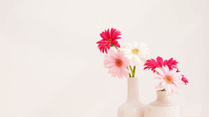 Two bottles of flower background pictures
