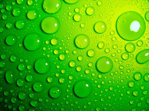 充滿活力的綠色背景晶瑩透亮的水滴圖片