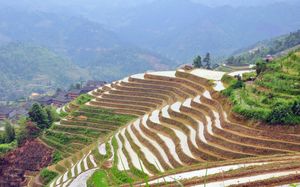 Yunnan terrazas característicos fondo de la diapositiva